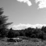 John Law Beaverkill Party