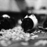 15-Cereal-Dinner
