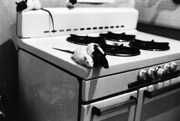 28-Three_Stove