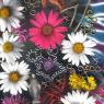 flowers _amp_ stuff