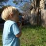 Texas, March 2007