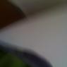 Max's Photos