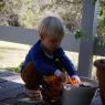 Texas, Nov 2006