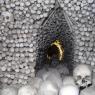 The Sedlec Ossuary