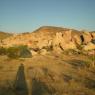 Joshua Tree