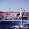 Marineland